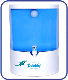 Dolphin